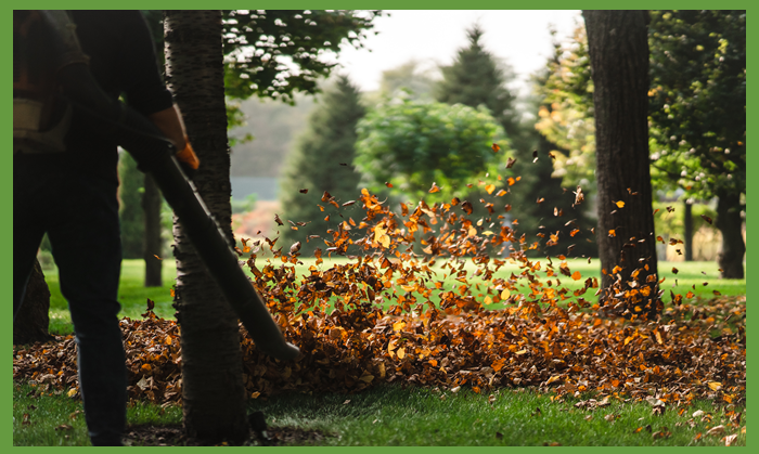 Garden Cleaning